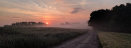 Quiey Road - The August Hush