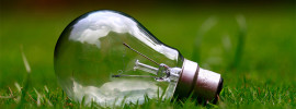 Light bulb in the grass