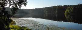 Daingerfield State Park in the morning