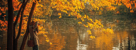 Woman taking a photo of autumn foliage